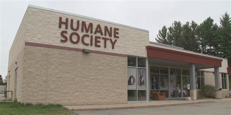 wausau animal shelter